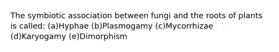 The symbiotic association between fungi and the roots of plants is called: (a)Hyphae (b)Plasmogamy (c)Mycorrhizae (d)Karyogamy (e)Dimorphism