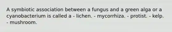 A symbiotic association between a fungus and a green alga or a cyanobacterium is called a - lichen. - mycorrhiza. - protist. - kelp. - mushroom.