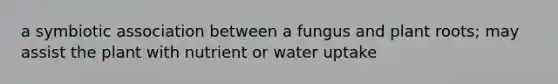 a symbiotic association between a fungus and plant roots; may assist the plant with nutrient or water uptake