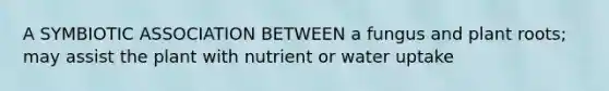 A SYMBIOTIC ASSOCIATION BETWEEN a fungus and plant roots; may assist the plant with nutrient or water uptake