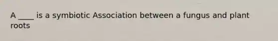 A ____ is a symbiotic Association between a fungus and plant roots