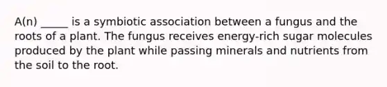 A(n) _____ is a symbiotic association between a fungus and the roots of a plant. The fungus receives energy-rich sugar molecules produced by the plant while passing minerals and nutrients from the soil to the root.