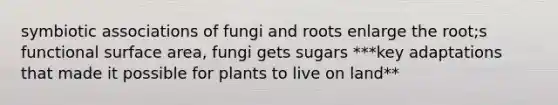 symbiotic associations of fungi and roots enlarge the root;s functional surface area, fungi gets sugars ***key adaptations that made it possible for plants to live on land**