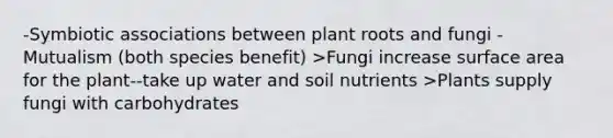 -Symbiotic associations between plant roots and fungi -Mutualism (both species benefit) >Fungi increase <a href='https://www.questionai.com/knowledge/kEtsSAPENL-surface-area' class='anchor-knowledge'>surface area</a> for the plant--take up water and <a href='https://www.questionai.com/knowledge/kSojaf8pkW-soil-nutrients' class='anchor-knowledge'>soil nutrients</a> >Plants supply fungi with carbohydrates