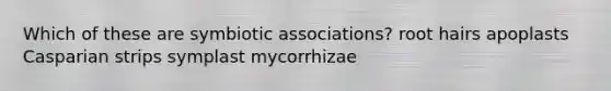 Which of these are symbiotic associations? root hairs apoplasts Casparian strips symplast mycorrhizae