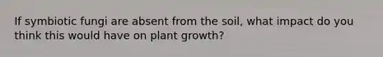 If symbiotic fungi are absent from the soil, what impact do you think this would have on plant growth?