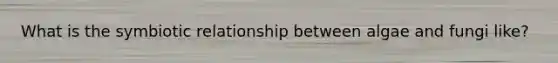 What is the symbiotic relationship between algae and fungi like?