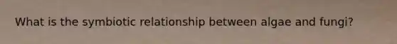 What is the symbiotic relationship between algae and fungi?