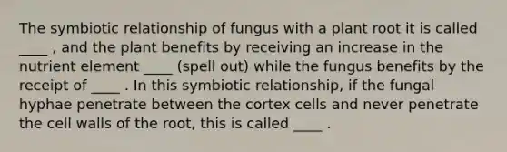 The symbiotic relationship of fungus with a plant root it is called ____ , and the plant benefits by receiving an increase in the nutrient element ____ (spell out) while the fungus benefits by the receipt of ____ . In this symbiotic relationship, if the fungal hyphae penetrate between the cortex cells and never penetrate the cell walls of the root, this is called ____ .