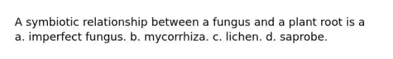 A symbiotic relationship between a fungus and a plant root is a a. imperfect fungus. b. mycorrhiza. c. lichen. d. saprobe.