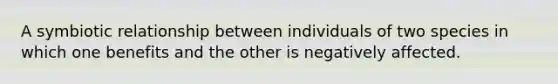 A symbiotic relationship between individuals of two species in which one benefits and the other is negatively affected.