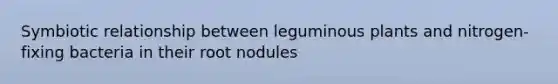 Symbiotic relationship between leguminous plants and nitrogen-fixing bacteria in their root nodules