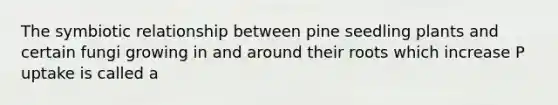 The symbiotic relationship between pine seedling plants and certain fungi growing in and around their roots which increase P uptake is called a