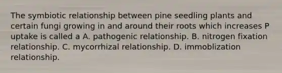 The symbiotic relationship between pine seedling plants and certain fungi growing in and around their roots which increases P uptake is called a A. pathogenic relationship. B. nitrogen fixation relationship. C. mycorrhizal relationship. D. immoblization relationship.