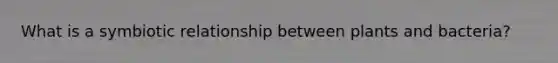 What is a symbiotic relationship between plants and bacteria?