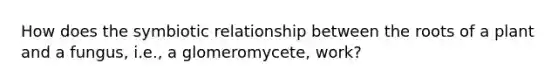 How does the symbiotic relationship between the roots of a plant and a fungus, i.e., a glomeromycete, work?