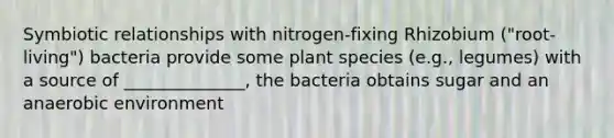 Symbiotic relationships with nitrogen-fixing Rhizobium ("root-living") bacteria provide some plant species (e.g., legumes) with a source of ______________, the bacteria obtains sugar and an anaerobic environment