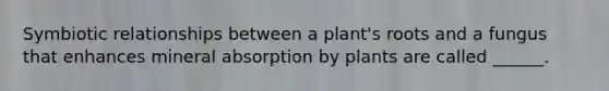 Symbiotic relationships between a plant's roots and a fungus that enhances mineral absorption by plants are called ______.
