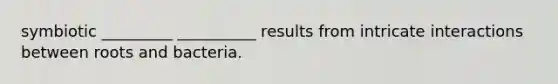 symbiotic _________ __________ results from intricate interactions between roots and bacteria.