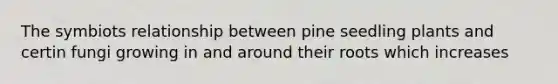 The symbiots relationship between pine seedling plants and certin fungi growing in and around their roots which increases