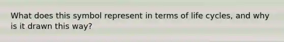 What does this symbol represent in terms of life cycles, and why is it drawn this way?