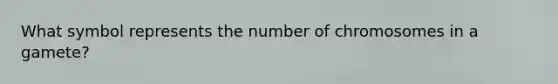 What symbol represents the number of chromosomes in a gamete?