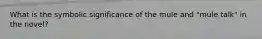 What is the symbolic significance of the mule and "mule talk" in the novel?