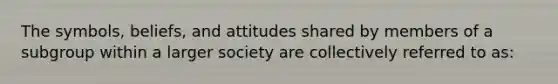 The symbols, beliefs, and attitudes shared by members of a subgroup within a larger society are collectively referred to as: