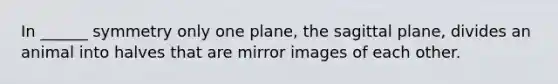 In ______ symmetry only one plane, the sagittal plane, divides an animal into halves that are mirror images of each other.