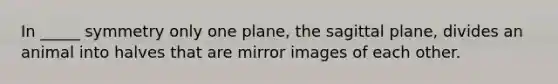 In _____ symmetry only one plane, the sagittal plane, divides an animal into halves that are mirror images of each other.