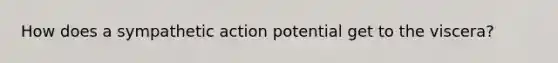 How does a sympathetic action potential get to the viscera?