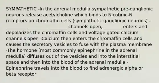 SYMPATHETIC -In the adrenal medulla sympathetic pre-ganglionic neurons release acetylcholine which binds to Nicotinic-N receptors on chromaffin cells (sympathetic ganglionic neurons) -_________ _________ ________ channels open, ________ enters and depolarizes the chromaffin cells and voltage gated calcium channels open -Calcium then enters the chromaffin cells and causes the secretory vesicles to fuse with the plasma membrane -The hormone (most commonly epinephrine in the adrenal medulla) diffuses out of the vesicles and into the interstitial space and then into the blood of the adrenal medulla -Epinephrine travels into the blood to find adrenergic alpha or beta receptor