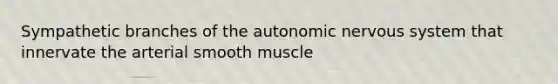 Sympathetic branches of the autonomic nervous system that innervate the arterial smooth muscle