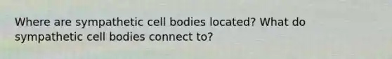 Where are sympathetic cell bodies located? What do sympathetic cell bodies connect to?