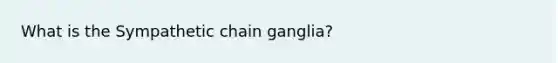 What is the Sympathetic chain ganglia?