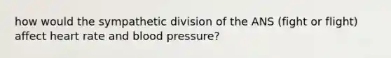 how would the sympathetic division of the ANS (fight or flight) affect heart rate and blood pressure?