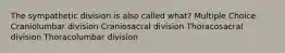 The sympathetic division is also called what? Multiple Choice Craniolumbar division Craniosacral division Thoracosacral division Thoracolumbar division