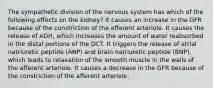 The sympathetic division of the nervous system has which of the following effects on the kidney? It causes an increase in the GFR because of the constriction of the efferent arteriole. It causes the release of ADH, which increases the amount of water reabsorbed in the distal portions of the DCT. It triggers the release of atrial natriuretic peptide (ANP) and brain natriuretic peptide (BNP), which leads to relaxation of the smooth muscle in the walls of the afferent arteriole. It causes a decrease in the GFR because of the constriction of the afferent arteriole.