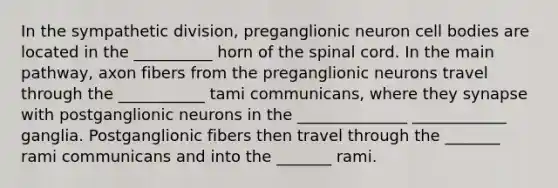 In the sympathetic division, preganglionic neuron cell bodies are located in the __________ horn of the spinal cord. In the main pathway, axon fibers from the preganglionic neurons travel through the ___________ tami communicans, where they synapse with postganglionic neurons in the ______________ ____________ ganglia. Postganglionic fibers then travel through the _______ rami communicans and into the _______ rami.