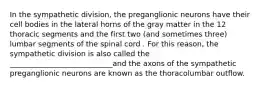 In the sympathetic division, the preganglionic neurons have their cell bodies in the lateral horns of the gray matter in the 12 thoracic segments and the first two (and sometimes three) lumbar segments of the spinal cord . For this reason, the sympathetic division is also called the ____________________________and the axons of the sympathetic preganglionic neurons are known as the thoracolumbar outflow.