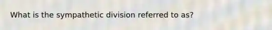 What is the sympathetic division referred to as?