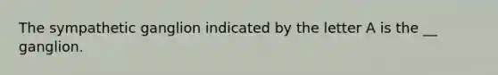 The sympathetic ganglion indicated by the letter A is the __ ganglion.