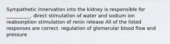 Sympathetic innervation into the kidney is responsible for __________. direct stimulation of water and sodium ion reabsorption stimulation of renin release All of the listed responses are correct. regulation of glomerular blood flow and pressure