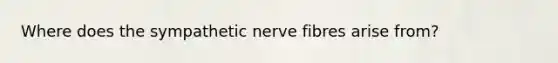 Where does the sympathetic nerve fibres arise from?