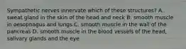 Sympathetic nerves innervate which of these structures? A. sweat gland in the skin of the head and neck B. smooth muscle in oesophagus and lungs C. smooth muscle in the wall of the pancreas D. smooth muscle in the blood vessels of the head, salivary glands and the eye