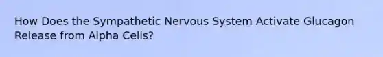 How Does the Sympathetic Nervous System Activate Glucagon Release from Alpha Cells?