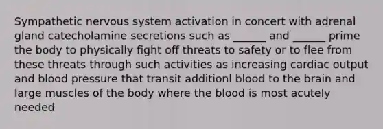 Sympathetic nervous system activation in concert with adrenal gland catecholamine secretions such as ______ and ______ prime the body to physically fight off threats to safety or to flee from these threats through such activities as increasing cardiac output and blood pressure that transit additionl blood to the brain and large muscles of the body where the blood is most acutely needed