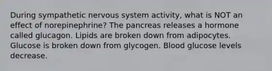 During sympathetic nervous system activity, what is NOT an effect of norepinephrine? The pancreas releases a hormone called glucagon. Lipids are broken down from adipocytes. Glucose is broken down from glycogen. Blood glucose levels decrease.