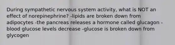 During sympathetic nervous system activity, what is NOT an effect of norepinephrine? -lipids are broken down from adipocytes -the pancreas releases a hormone called glucagon -blood glucose levels decrease -glucose is broken down from glycogen