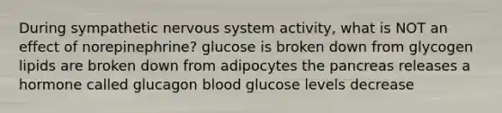 During sympathetic nervous system activity, what is NOT an effect of norepinephrine? glucose is broken down from glycogen lipids are broken down from adipocytes the pancreas releases a hormone called glucagon blood glucose levels decrease